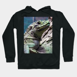 Sailfin Lizard Hoodie